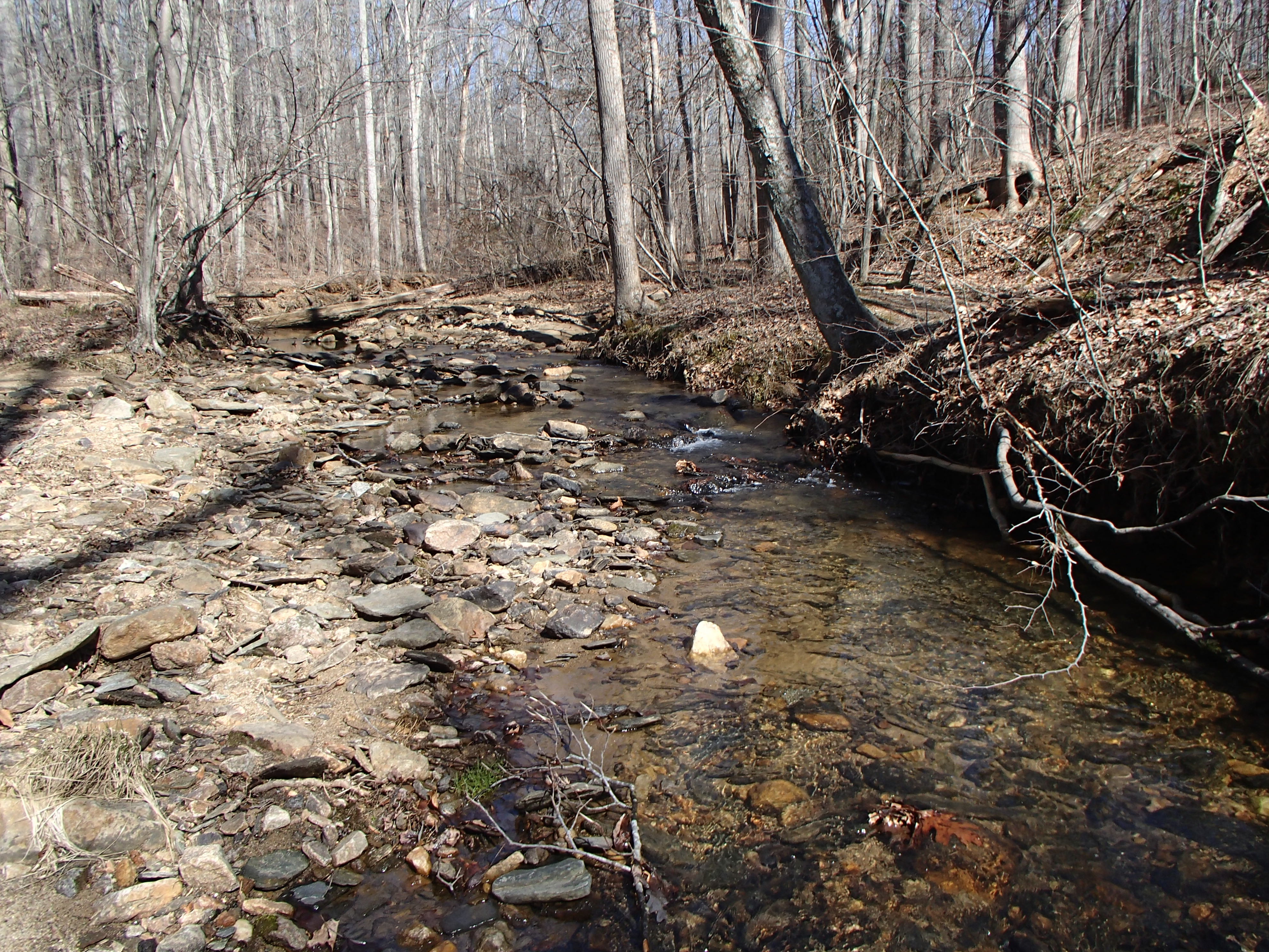 Field photo showing stream conditions at site RKGR-101-R-2016_midpoint looking upstream